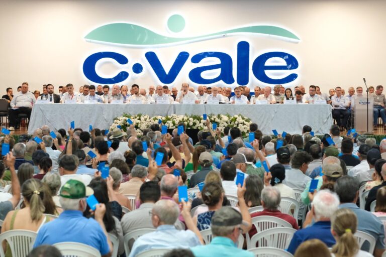 Faturamento da C.Vale ultrapassa R$ 25 bilhões em 2025