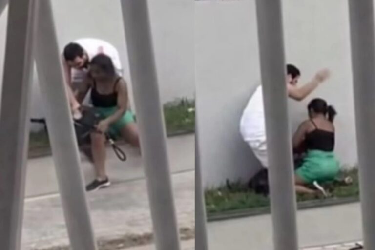 Briga entre tutores de cães provoca agressão física em Santo Antônio de Jesus