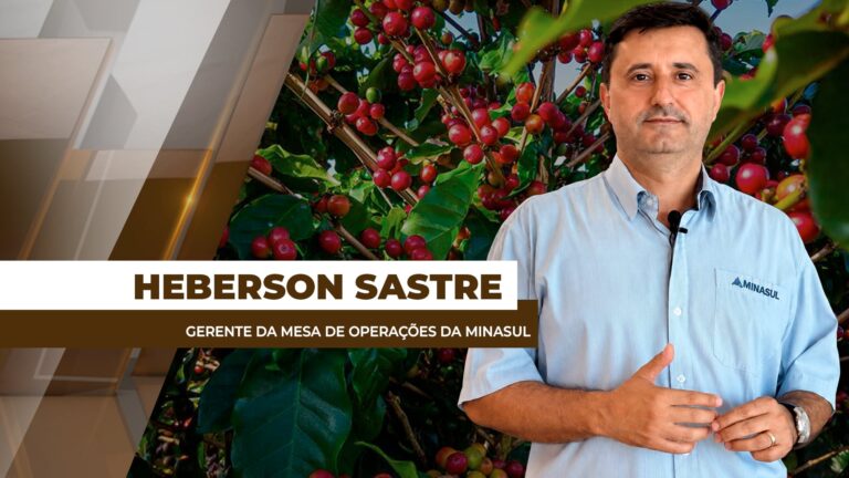 Preços do cacau impulsionam busca por novas estratégias de venda