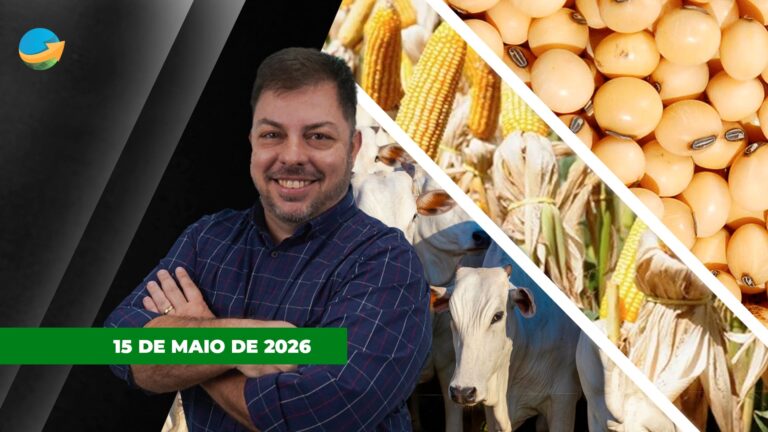 Soja recua em Chicago e boi gordo enfrenta pressão nos preços em São Paulo
