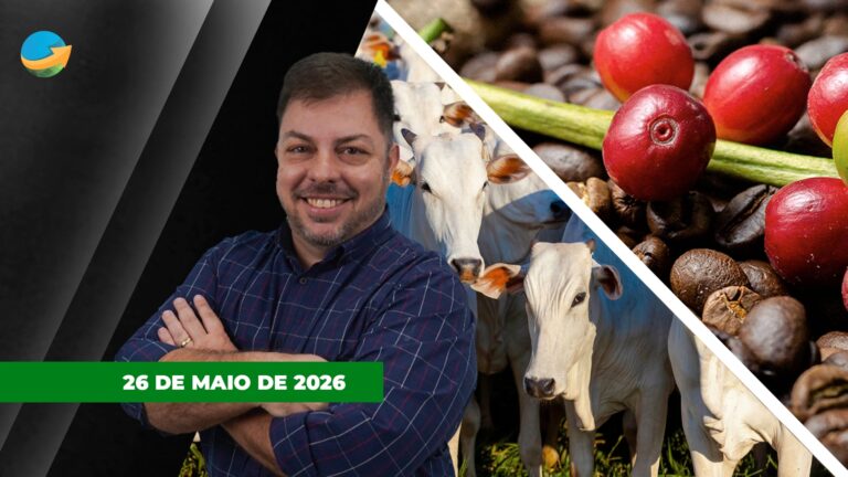 Café sobe com preocupações sobre El Niño e colheita no Brasil