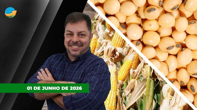 Mercado agrícola acompanha movimentações e pressões sobre soja milho e dólar