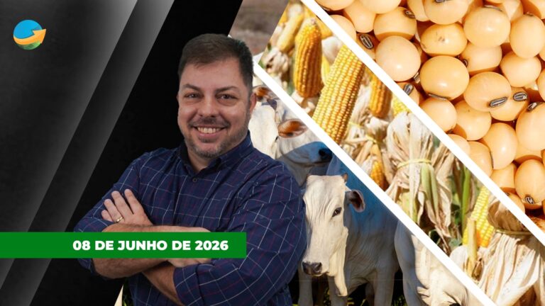 Mercado agrícola pressiona soja e milho com influência do petróleo e safra americana