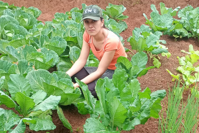 Idr-paraná fortalece segurança alimentar com hortas domésticas em Campo Largo