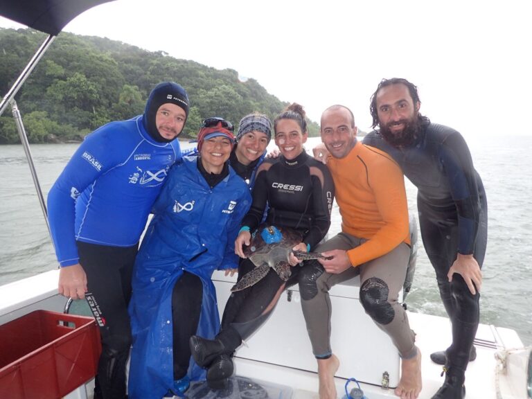 Pesquisadora paranaense finalista do Oscar verde por proteção da fauna marinha
