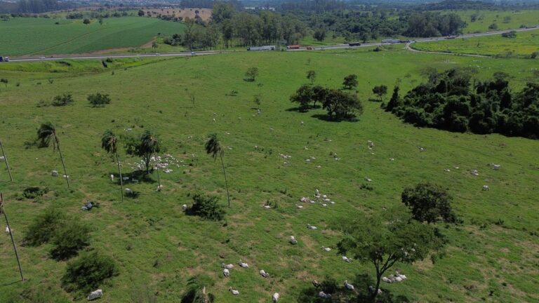 Ministério Público apura venda controversa de fazenda de pesquisa em São Paulo