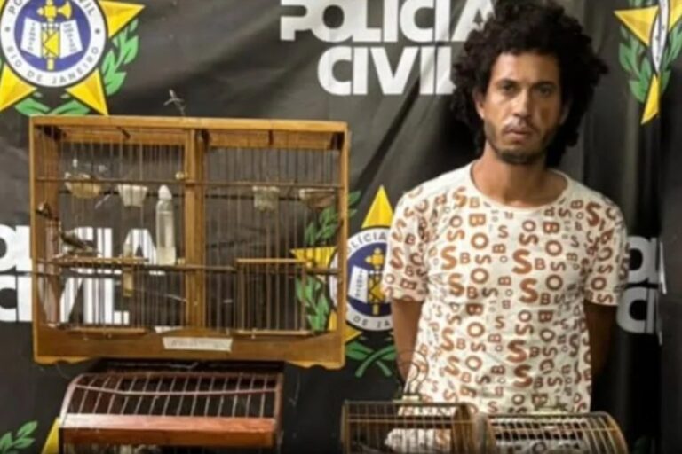 Homem preso por espancar capivara até a morte na Baixada Fluminense