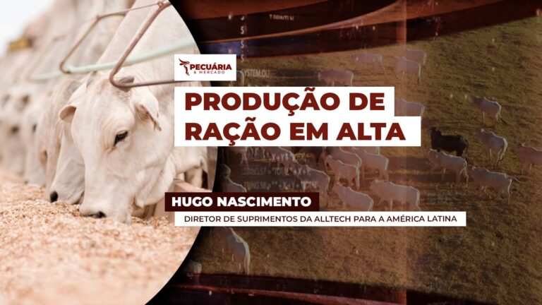 Produção de ração avança para 90 milhões de toneladas em 2025 no Brasil