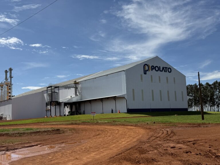 Polato sementes amplia produção em Mato Grosso com investimento de R$ 100 milhões