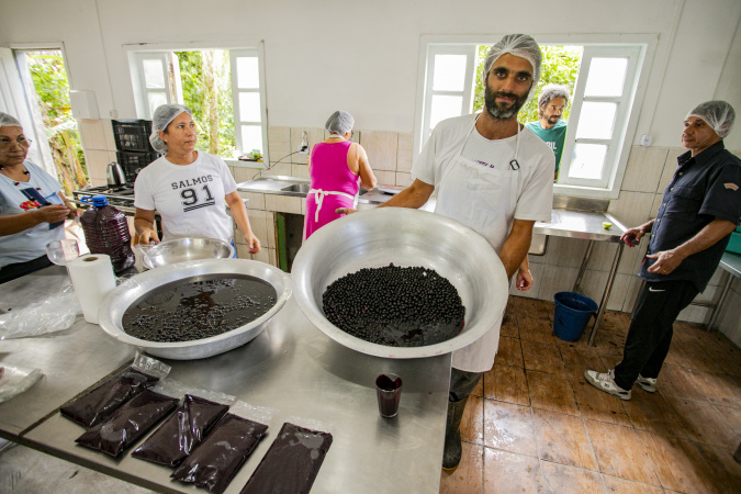 Açaí juçara impulsiona renda e preservação nas comunidades caiçaras do litoral