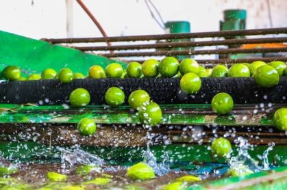 Missão cubana avalia frutas brasileiras para abertura comercial