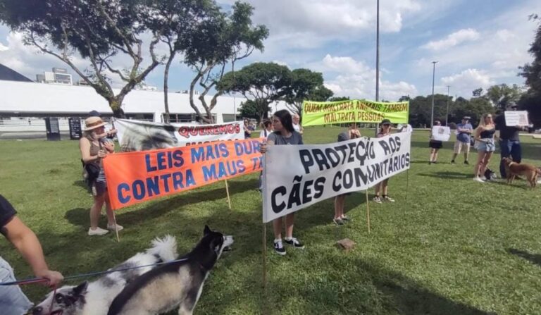 Oab-pr participa de manifestação em Curitiba por justiça ao cão Orelha