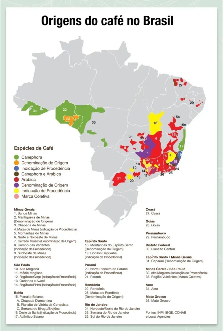 Brasil expande regiões produtoras e lidera safra mundial de café em 2026