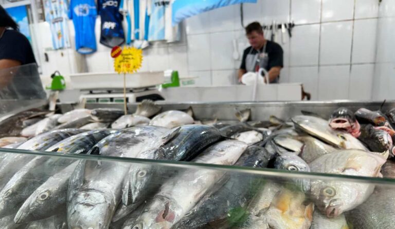 Cavala lidera as vendas no Mercado de Pescados de Matinhos
