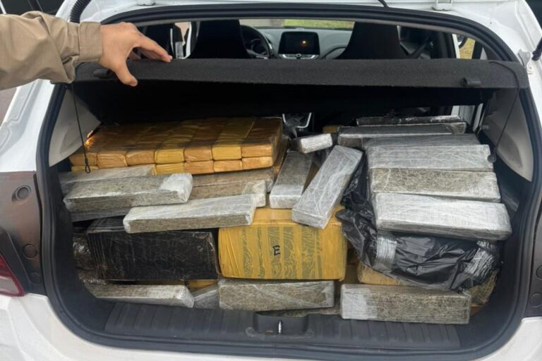 PMPR apreende 269 kg de maconha com apoio da inteligência artificial em Umuarama