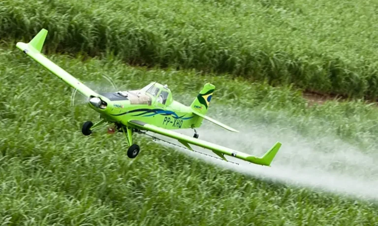 Agrotóxicos apresentam toxicidade crescente em escala global, revela estudo