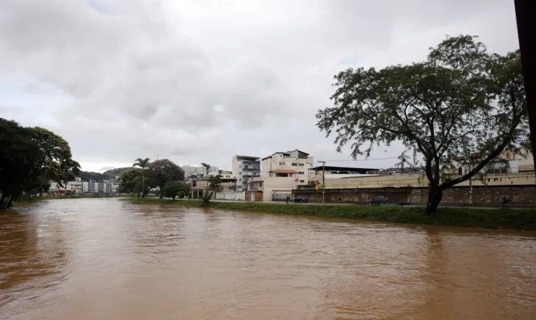 Temporais na Zona da Mata mineira causam 40 mortes e deixam milhares desabrigados