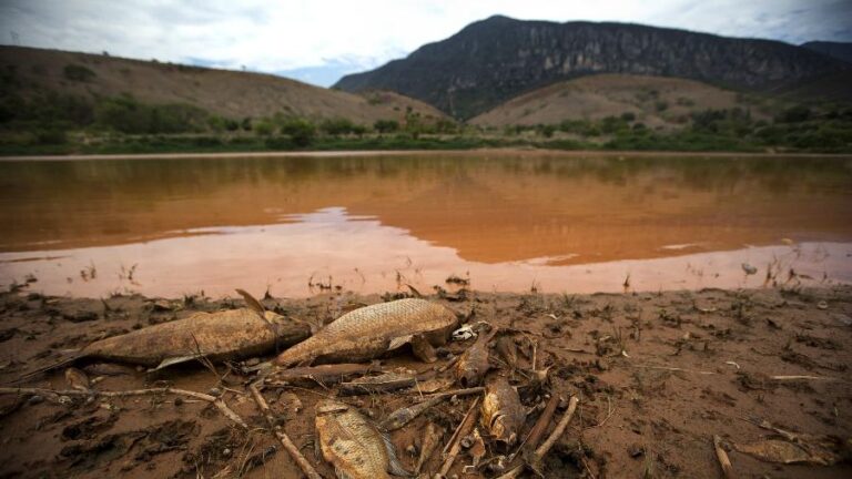 Julgamento da Bhp em Londres por desastre de Mariana é adiado para abril de 2027