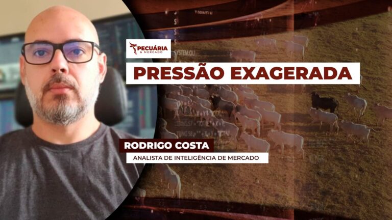 Queda na arroba do boi ganha força com fim das cotas chinesas