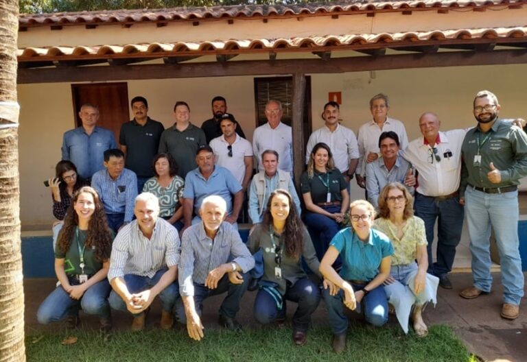 Suinocultura em Minas Gerais enfrenta custos elevados e desafios para sustentabilidade