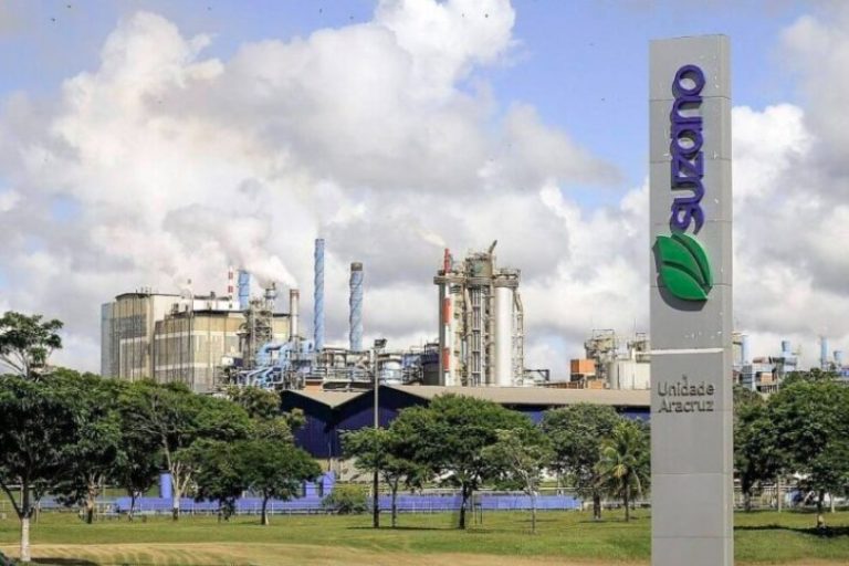 Vale, Suzano e Basf lideram rede para gestão de reservas ambientais privadas