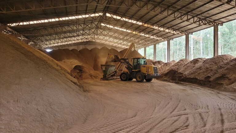 Pó de tabaco reaproveitado como fertilizante beneficia lavouras brasileiras