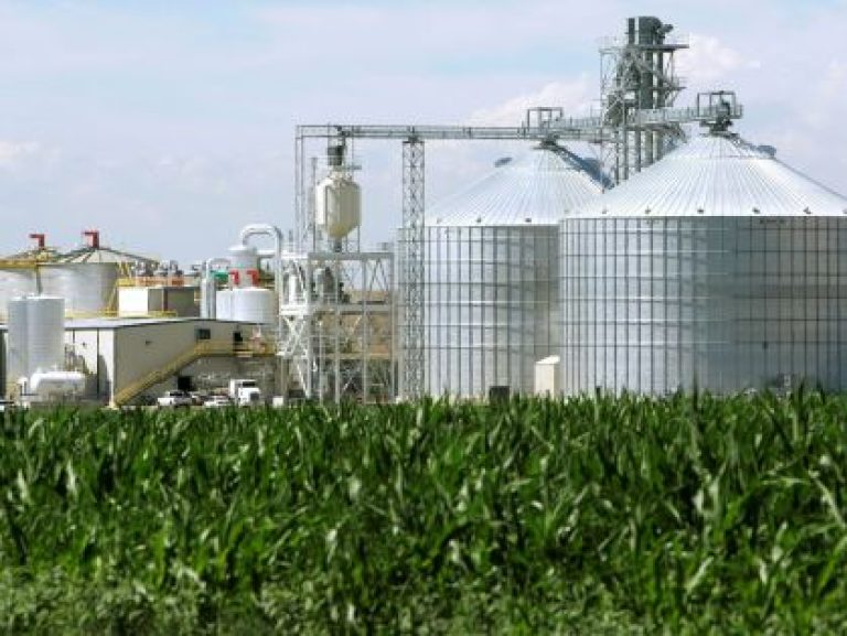 Mato Grosso planeja ampliar biomassa para usinas de etanol de milho