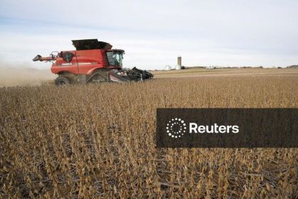 Soja registra melhor cotação em três meses com alta demanda pelo mercado