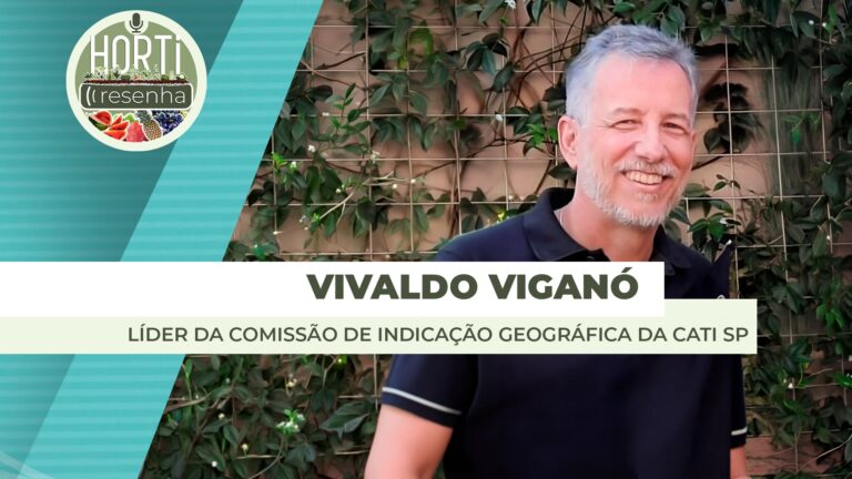Agro de São Paulo alcança 10 indicações geográficas com banana do Vale do Ribeira