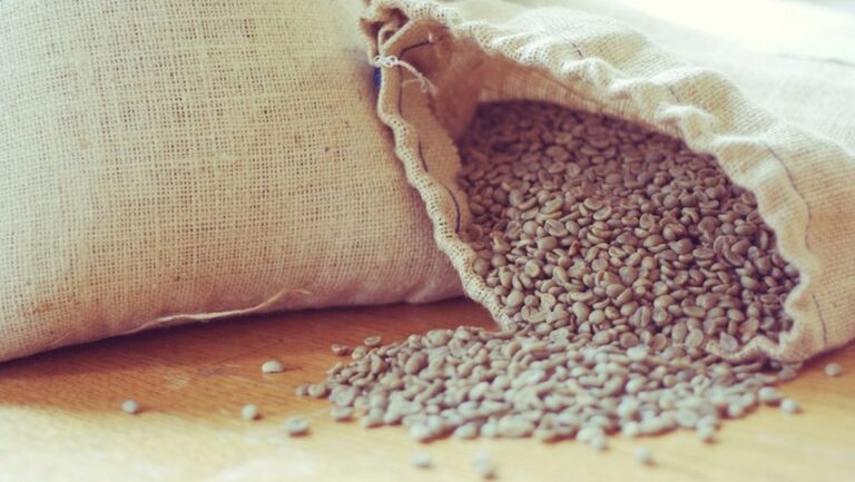 Café, cacau e algodão registram alta consistente na bolsa de Nova York