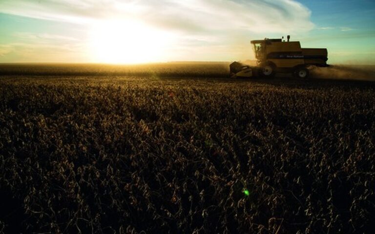 Agro lidera crescimento do PIB brasileiro com alta de 11,7% em 2025