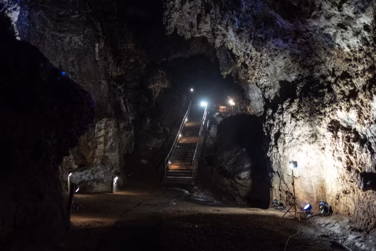 Cientistas recriam digitalmente o rosto do ancestral humano Pé Pequeno