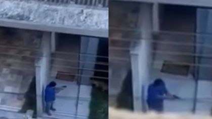 Homem é preso por matar cachorro a tiros em Pará de Minas