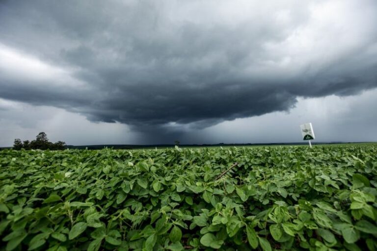 Chuva retorna ao Paraná com variações de temperatura nesta semana