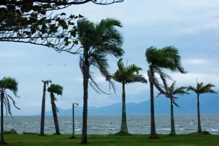 Inmet alerta para ciclone extratropical que impacta 86 municípios em Santa Catarina