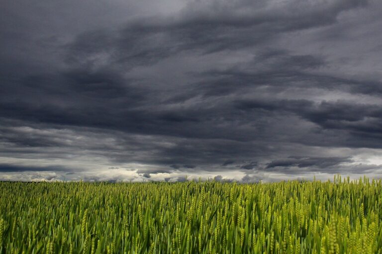 Alerta de tempestades no Nordeste e queda de granizo no Sul marcam início de semana