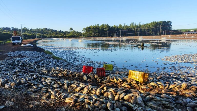 morte em massa de peixes no reservatório do paraná revela falha crítica