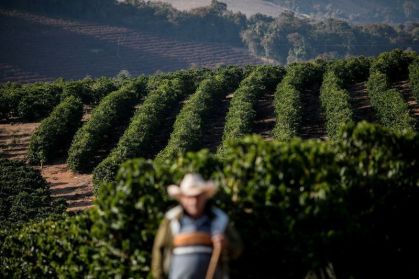 Mais de 116 mil produtores rurais ficam fora do Proagro na safra 2024/25