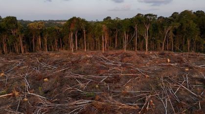 Pará reduz desmatamento em 54%, mas mantém liderança na Amazônia Legal