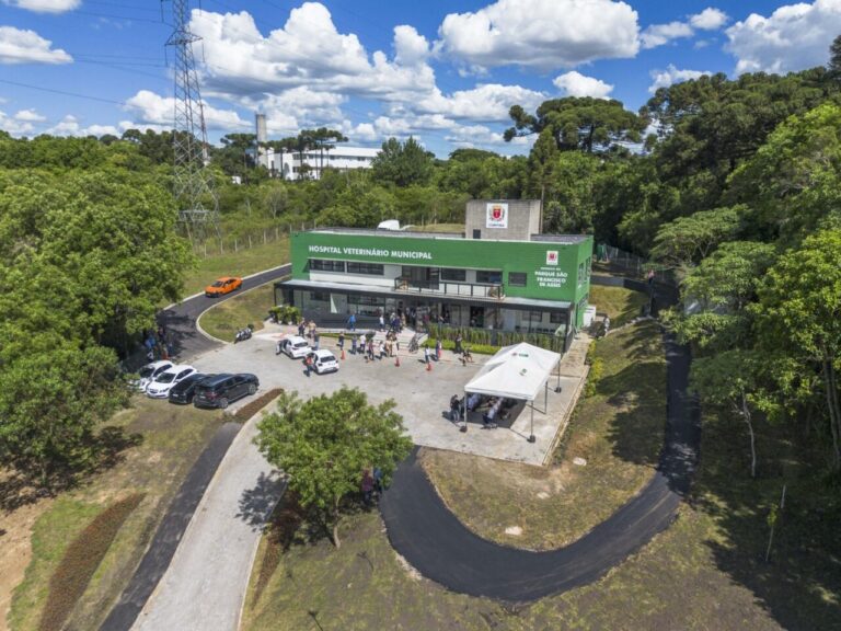 Hospital veterinário de Curitiba ultrapassa 50 mil atendimentos em tempo recorde