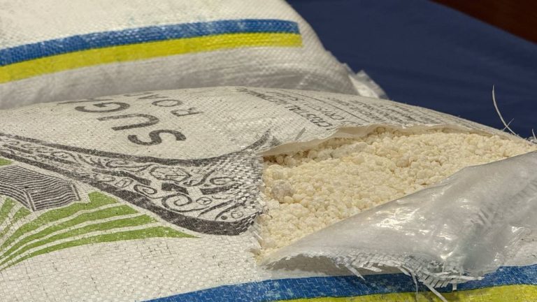 Brasileiros presos em Portugal com 900 kg de cocaína apreendida