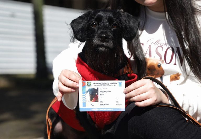 sinpatinhas reforça proteção e cadastro de animais no Paraná