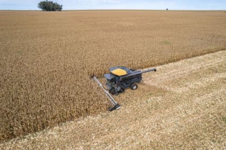 Produção de DDG impulsiona intensificação da pecuária até 2030