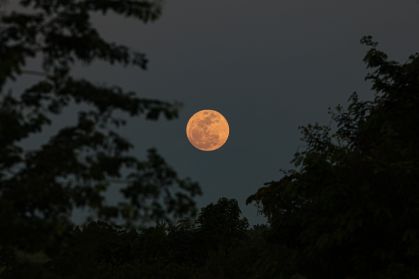Lua cheia das flores ilumina o céu em 1º de maio com significado cultural