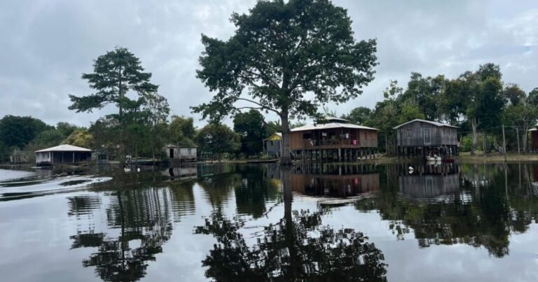 Créditos de carbono transformam a preservação da Amazônia em ativo financeiro