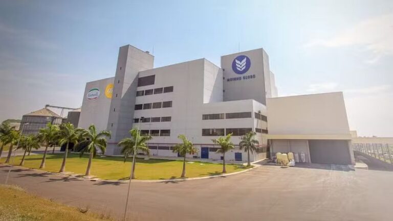 Setor de trigo deve enfrentar desafios e adotar postura conservadora em 2026