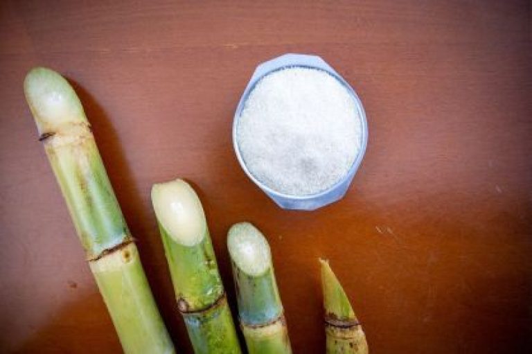 Preços globais de alimentos sobem em março devido à guerra no Oriente Médio