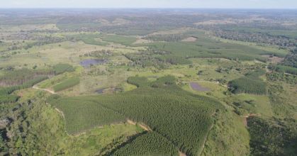 Minas Gerais fortalece liderança na agenda climática com evento carbono neutro