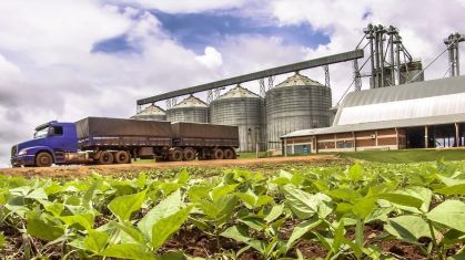 Recuperação judicial da Aliança Agrícola é aprovada pela Justiça em Uberlândia
