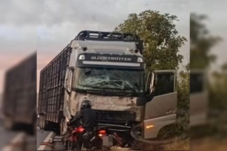 Motorista de caminhão sobrevive a acidente grave que matou oito na BR-020